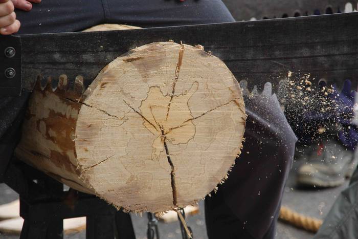 Santa Marina ermita ataria,  41 1531922508451