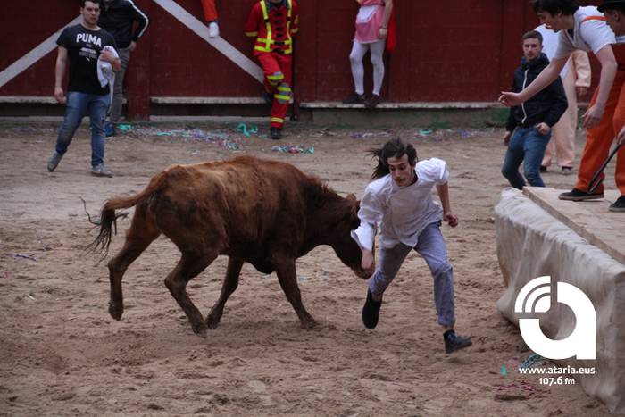 Zezenak adarrak okerrak ditu 51 1488277453026