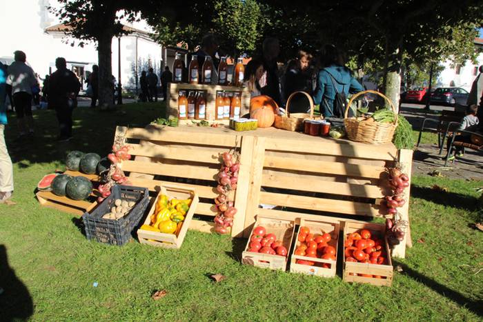 Iban Letamendi eta Alizia Ol 8 1507398066097