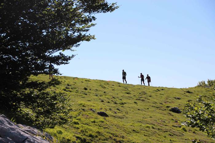 T3T, Hernio 2019 64 1560688435591