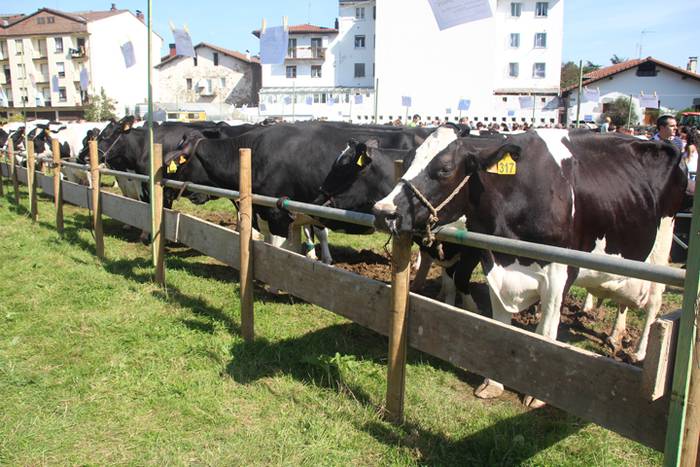 Berezia eta jendetsua 73 1506256873717