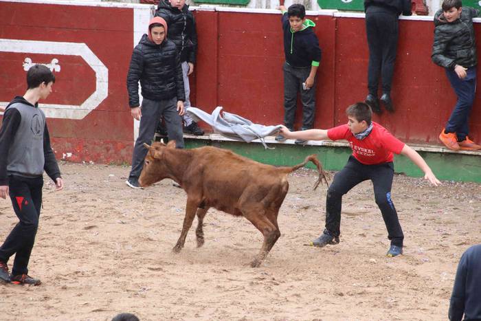 Txikienak zezen txikien aurr 2 1552240862171