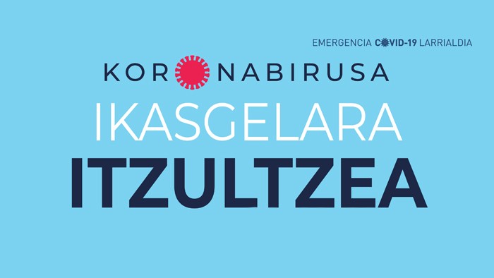 Ikasgelara itzultzea
