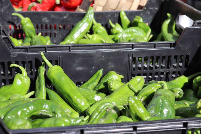 Postu txikiz bete da Alegiko 27 1632658212019