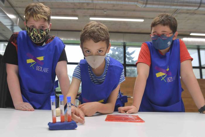 Bizilabe 9 1624013739592