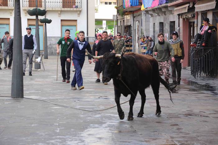 Soka zintzilik eta muturrak  31 1646140698163