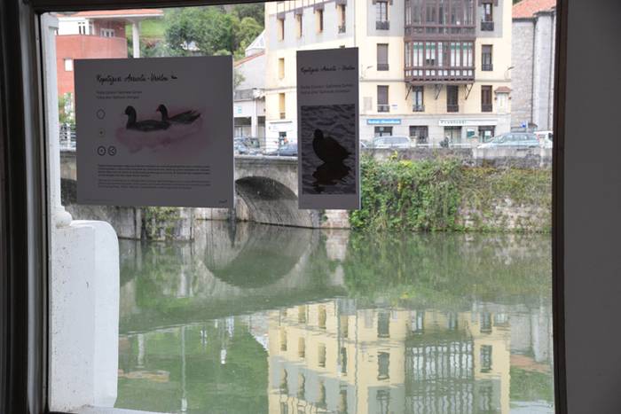 Oria ibaiko hegaztien gida 6 1496757655051