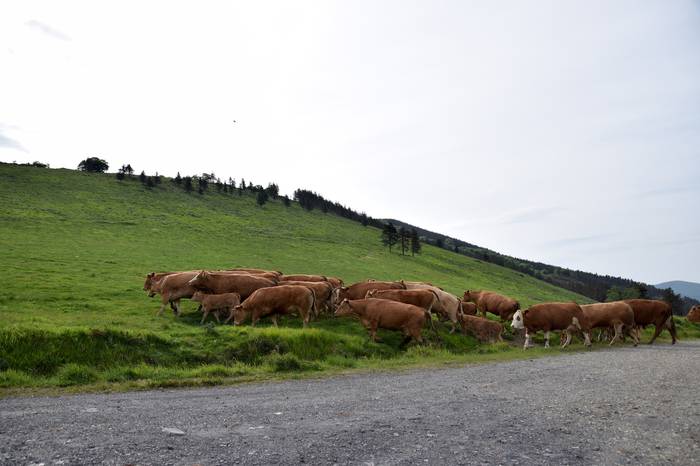 BERASTEG LARRE IREKIERA 2022 22 1652525078983