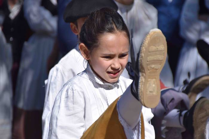 Larrerati dituzte abereak Ar 9 1556716246164