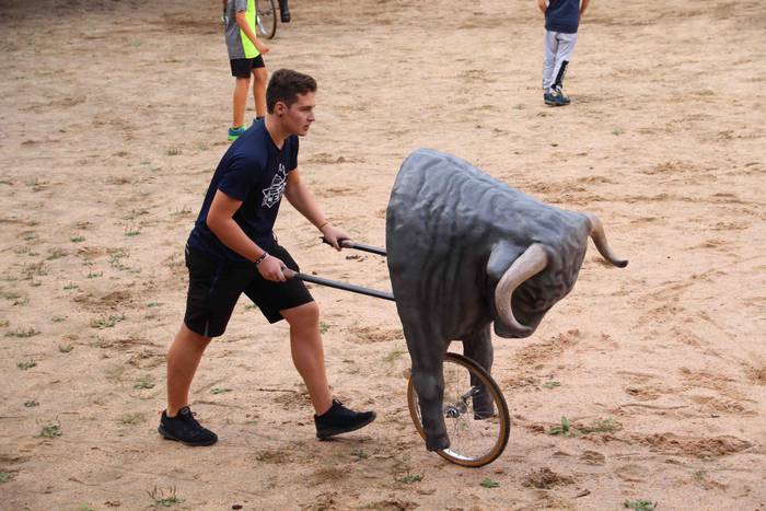 Zezen plaza hartu dute umeek 7 1539360493772