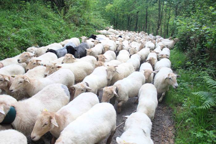 Larre irekiera ekitaldi bere 53 1588336803224