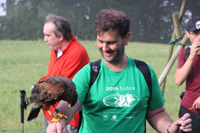 2016 bidea 40 1471776030160