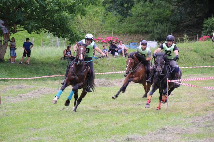 Zaldien gainean lehian 49 1497207399187