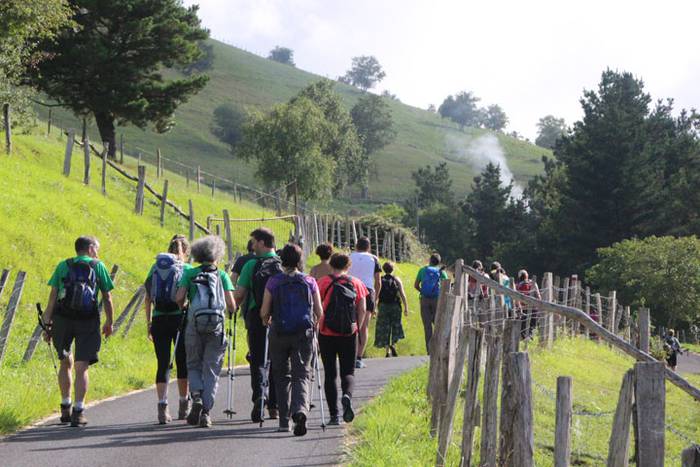 2016 bidea 43 1471776056552