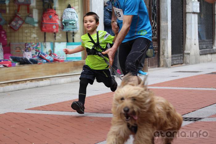 txakur krosa tolosa 2016 31 1458498843747