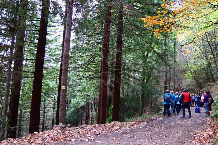 Adunako kultur egitaraua 202 15 1637571733821