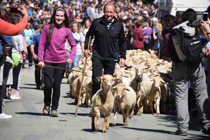 Larrerati dituzte abereak Ar 1 1556716229671