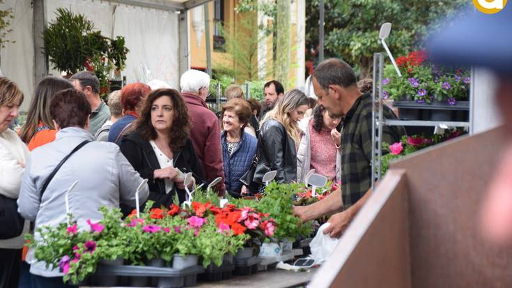 Udaberriz jantzi dute Trianguloa