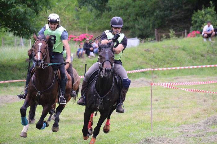 Zaldien gainean lehian 47 1497207387929