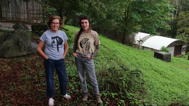 Kulturari Begira, urriak 3