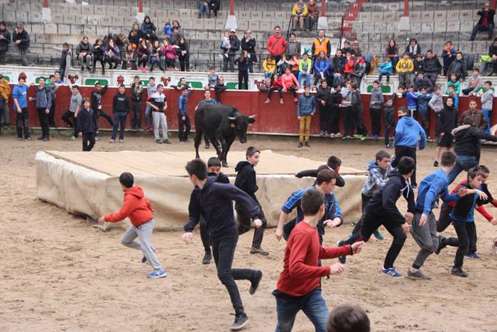 Txaranga eta zezenak piñata  16 1488738815720