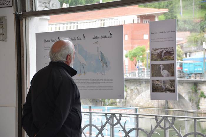 Oria ibaiko hegaztien gida 4 1496757642373