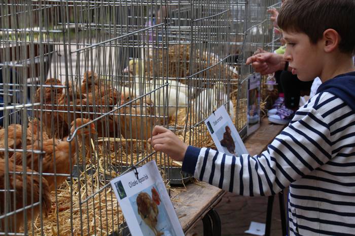 Piperra baino askoz gehiago 4 1505654569016