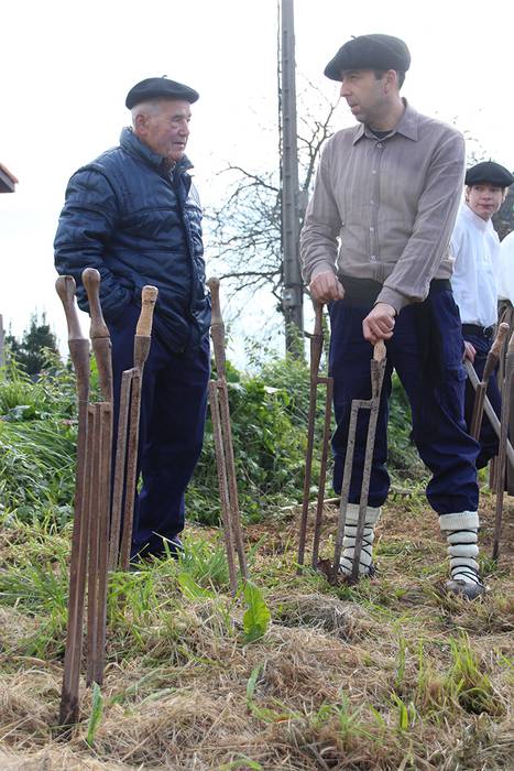 ADUNAKO KULTUR ASTEA 2017. G 25 1511017989311