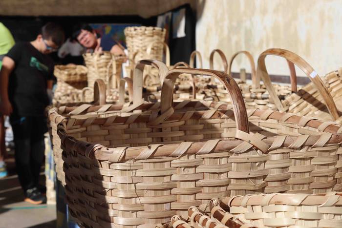 Zer ikusi izan da Bedaion 5 1668343695332