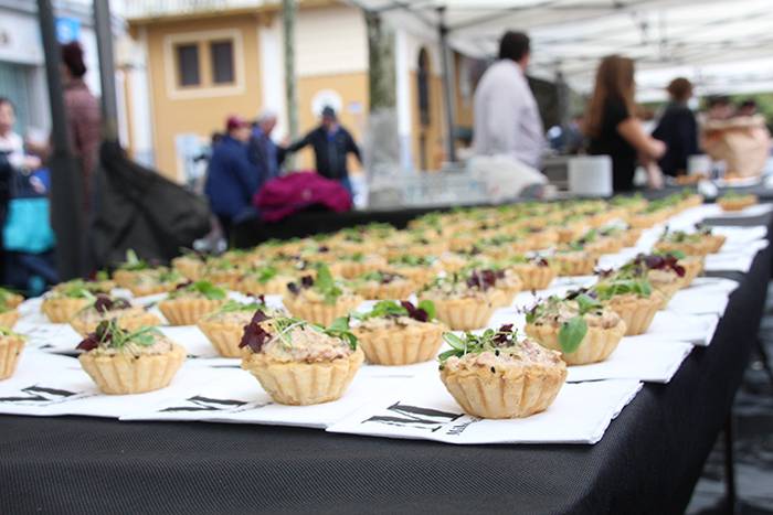 AZOKA MIKOLOGIKOA 2017 13 1508591537639