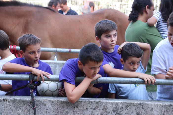 "Ibarra, Azoka eta Piparra" 70 1537103511475