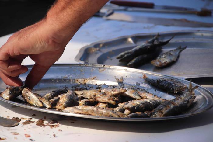 Rosa Soroa raketistari omena 20 1536497200788