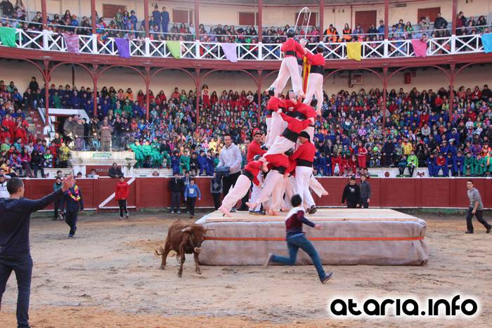 ostegun gizena 2016 zezen plaza 94 1454608290601