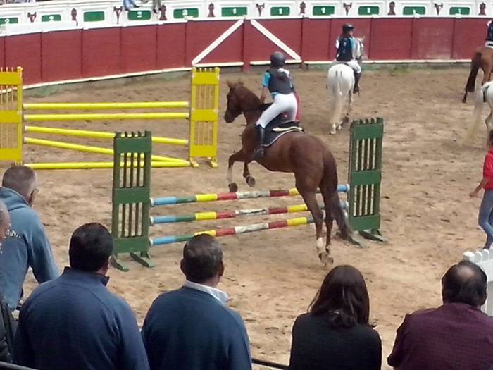 Zaldi erakustaldia Tolosa zezen plaza 2 1466419128387