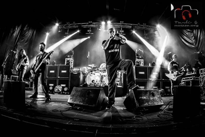 Gesteira-Perez argazkilariak 19 1467373988124