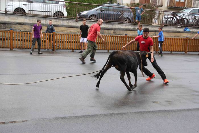 hernialde festak puzgarriak  46 1534160679148