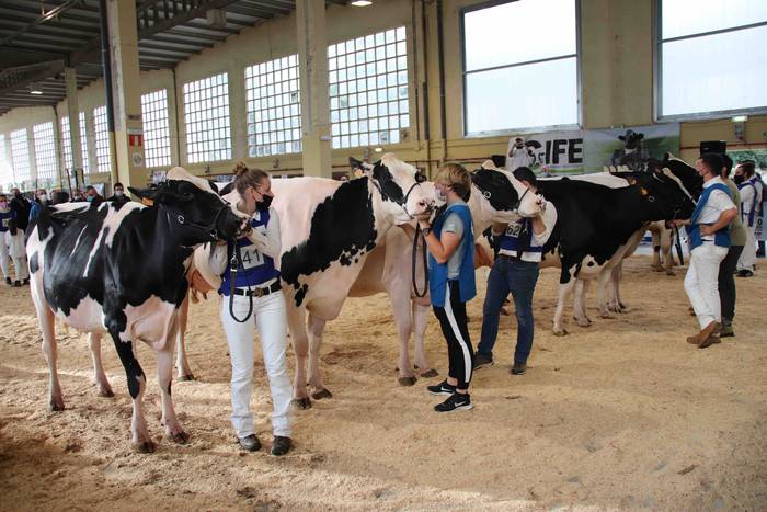 XII. Euskal Herriko Frisoi T 29 1637418675896