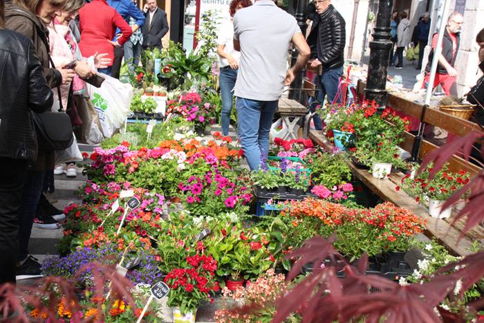 Udaberria loratu da Tolosan 26 1526734135220