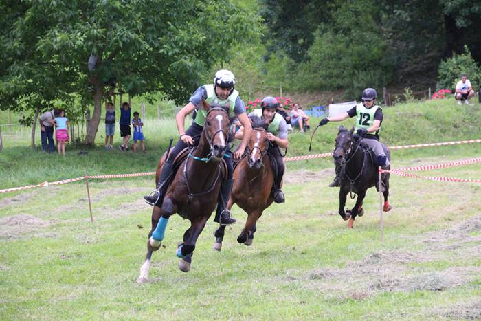 Zaldien gainean lehian 51 1497207411448