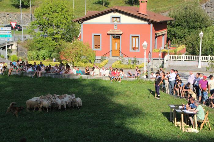 Artzaina eta txakurraren artea Amezketan 7 1472322308585