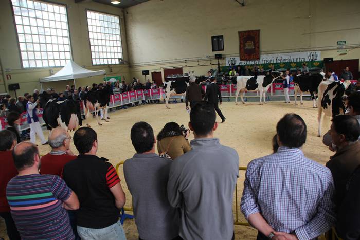 Frisoi Txapelketa 2015 5 1447530176555