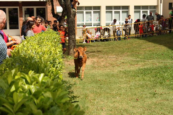 Ikaztegietako Jaiak 2017, um 1 1502457148169