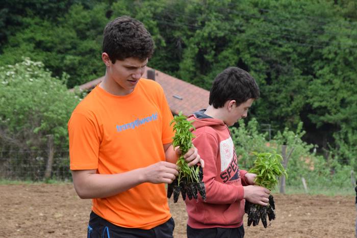 Piper landaketa uzturpe gureak  789 taldea 7 1464793769273