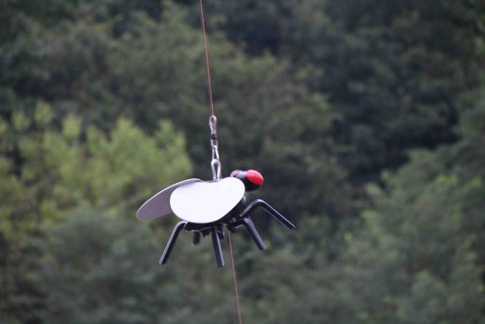 Amezketa San Bartolome jaiak 107 1535056292748