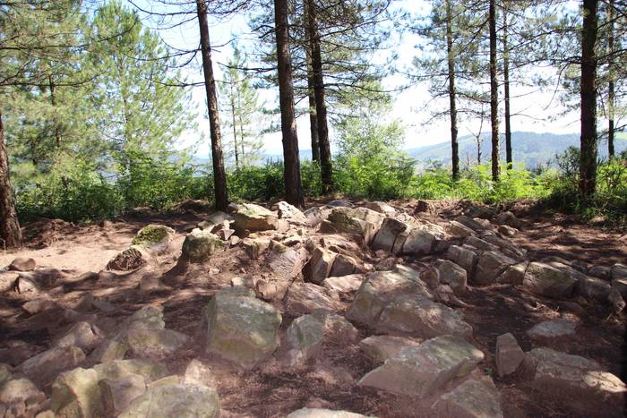 Gerra 31 1562842952284