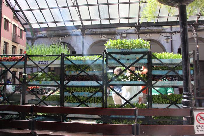 tolosako zokara bisita gidat 10 1657363888606