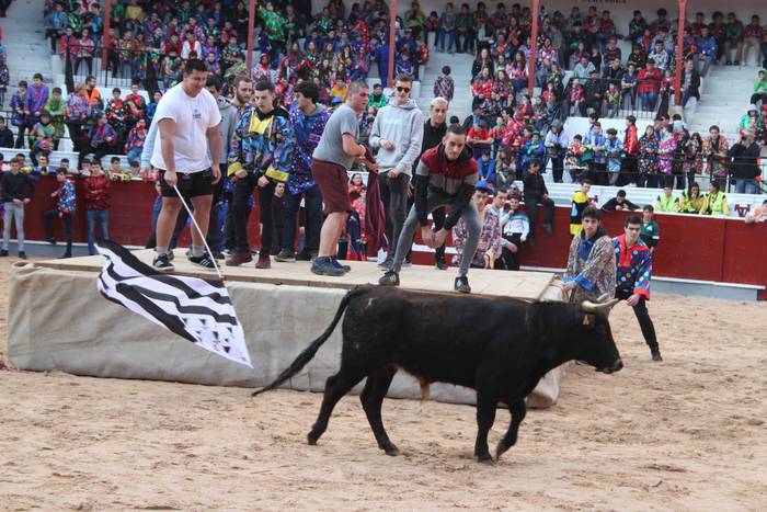 Inauteriak 2020, zezenak Ost 14 1582222546736