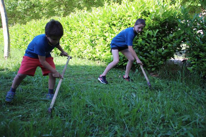 Segak badu bere harrobia 4 1655459015659