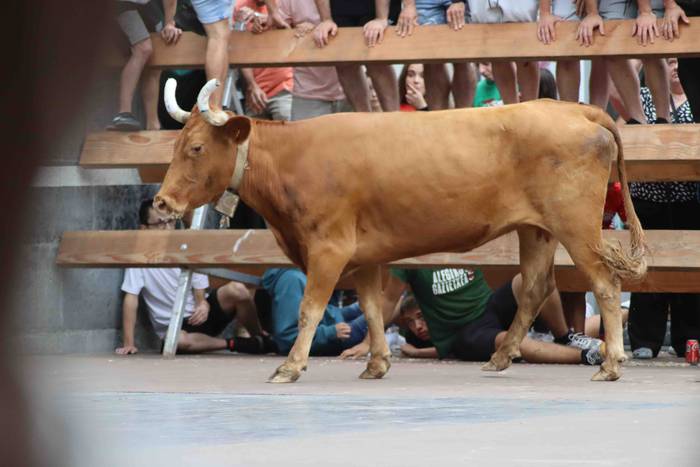 Aurtengo azken lasterketa 38 1659294965721