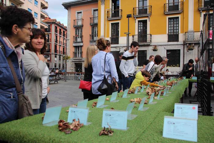 5.000 kilo txanpinoi saltsan 25 1571486542573